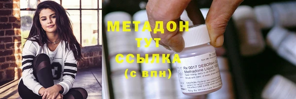 сатива Инсар