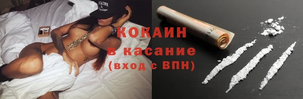 сатива Инсар