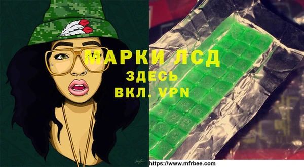 сатива Инсар