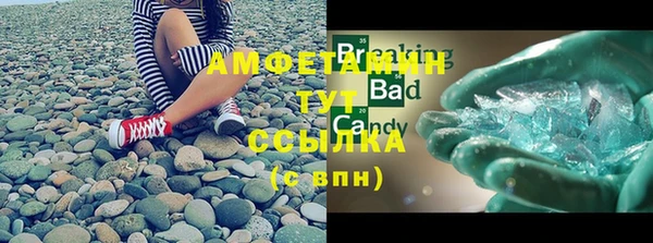 сатива Инсар
