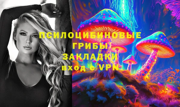 бутират Инта