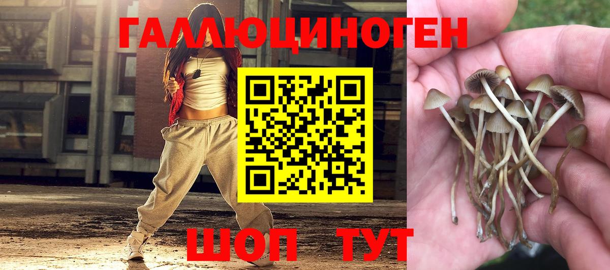 Галлюциногенные грибы мухоморы  Вход с VPN  Сорочинск 