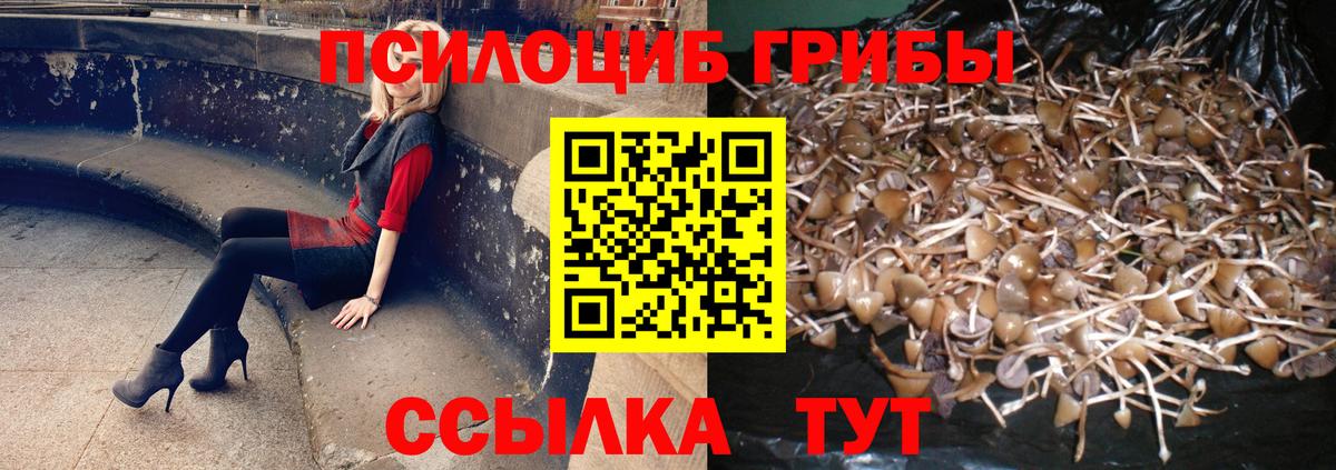 Галлюциногенные грибы прущие грибы Сорочинск