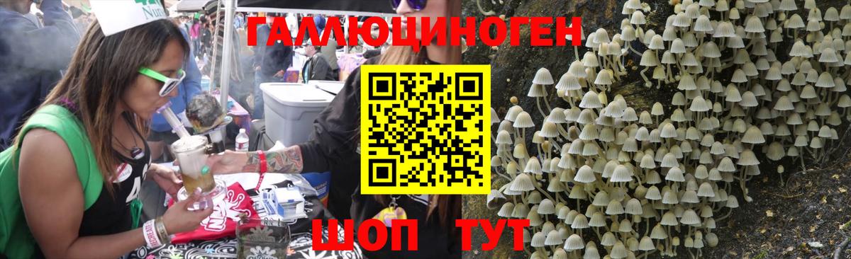 Псилоцибиновые грибы MAGIC MUSHROOMS  Сорочинск  Псилоцибиновые грибы ЛСД 