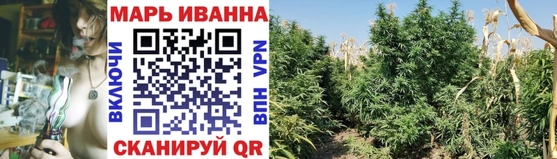 где продают наркотики  Сорочинск  Конопля VHQ 